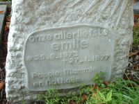 Groeneveld, Emile