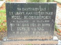 Bloembergen, Roel