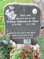 Haas, Willem Johannes de